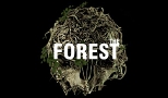 The Forest - Próbakör