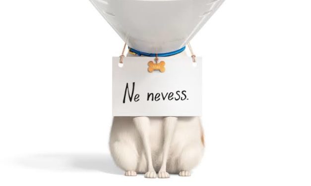 A kis kedvencek titkos élete 2